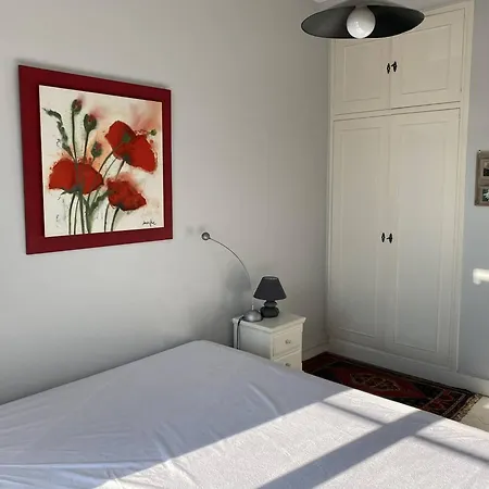 Lumineux Et Spacieux Au Centre De - Fr-1-738-44 아파트